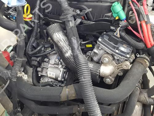 Engine RENAULT MASTER III Platform/Chassis (EV, HV, UV)  | BP36276683M1  - Image 5
