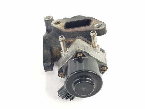 Egr NISSAN PATHFINDER III (R51)  | BP26012335M69 