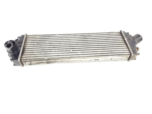 Ladeluftkühler für Ladeluftkühler RENAULT TRAFIC II Platform/Chassis (EL) 2.0 (EL0A) (120 hp) 36754135 36754135