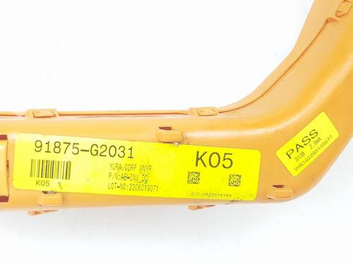 Other HYUNDAI IONIQ (AE) Elektro | BP18347388O1 