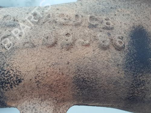 Exhaust manifold LAND ROVER RANGE ROVER SPORT I (L320) 2.7 D 4x4 | BP20199456M110 