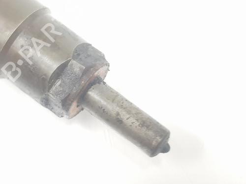 Injector LAND ROVER DISCOVERY III (L319) 2.7 TD 4x4 | BP20186823M100 