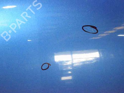Hood VW GOLF IV (1J1) 1.9 TDI | BP1425001C1 