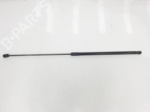 Used Hood lift support VW GOLF VII (5G1, BQ1, BE1, BE2) 2.0 TDI (150 hp) 14099565