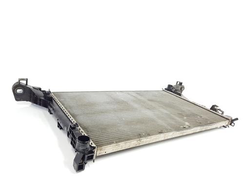 Køler RENAULT MASTER III Van (FV) 2.3 dCi 125 RWD (FV0C, FV0D, FV0H, FV0J, FV0A, FV0K) | BP30395601M31 