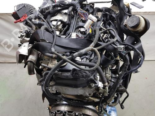 Used Engine NISSAN NAVARA NP300 (D40) 2.5 dCi 4WD (D40TT, D40T, D40M, D40BB) (190 hp) 23245113