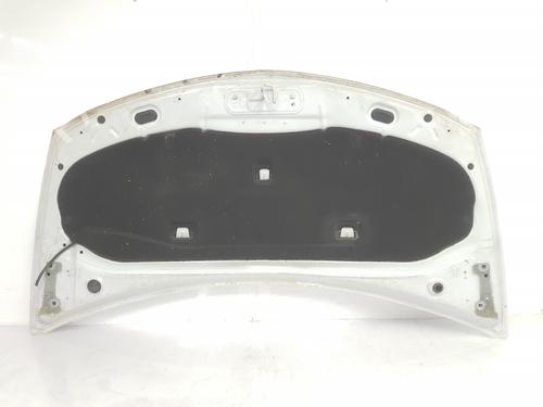 Hood RENAULT CLIO III (BR0/1, CR0/1) 1.5 dCi | BP792898C1