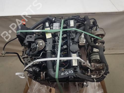 Used Engine Engine MERCEDES-BENZ SPRINTER 3-t Platform/Chassis (B906) [2006-2018] 36032332 36032332
