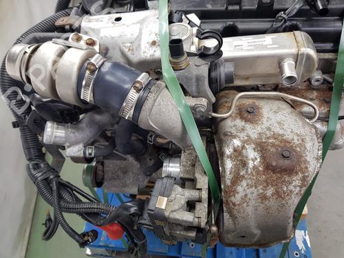 Engine NISSAN PATHFINDER III (R51) | BP29750867M1