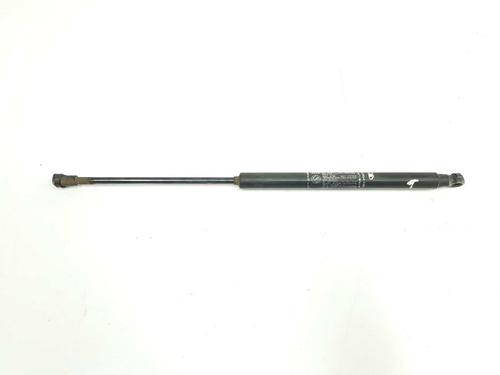 Used Tailgate lift support FIAT GRANDE PUNTO (199_) 1.3 D Multijet (75 hp) 14081089