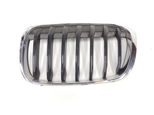 Used Grille Grille BMW X1 (F48) xDrive 18 d (150 hp) 10484070 10484070