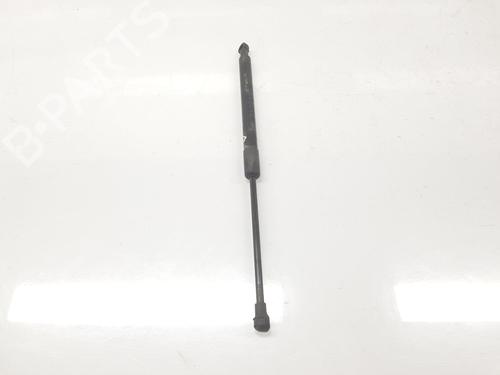 Tailgate lift support BMW 3 Touring (E91) 320 d | BP14098873C138 