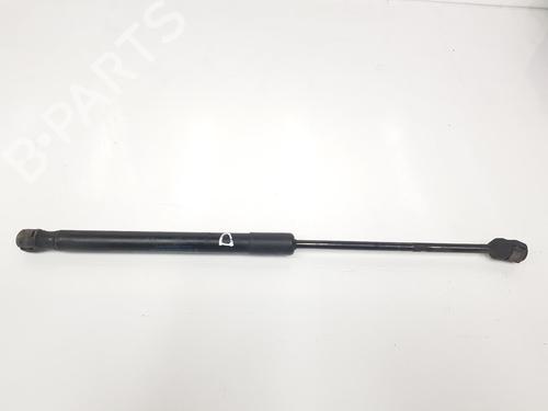 Hood lift support BMW X5 (E70) xDrive 30 d | BP14091426C139 