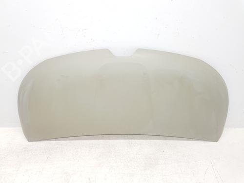 Used Hood RENAULT TRAFIC III Van (FG_) 1.6 dCi 140 (FGMA, FGMC) (140 hp) 30262859