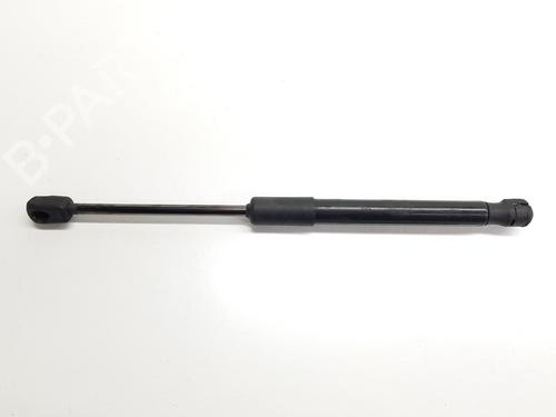 Hood lift support AUDI A6 C7 (4G2, 4GC) 2.0 TDI | BP29596104C139 