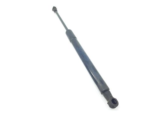 Hood lift support RENAULT TALISMAN (LP_) 1.6 dCi 160 | BP16959827C139 