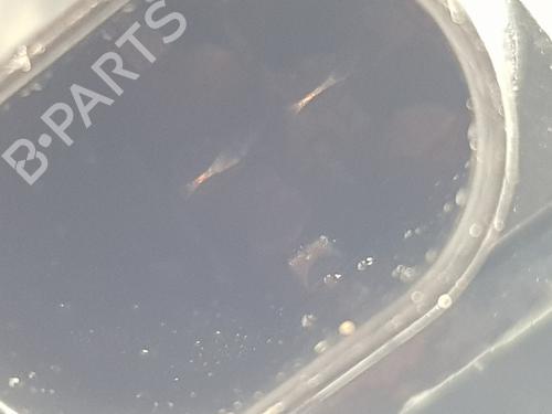 Right rear brake caliper FIAT 600e / 600 (365_, 364_)  | BP32072728M106 