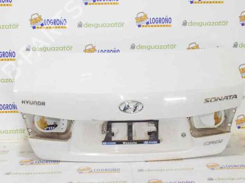 Bakluke CC/Kombi-Kupé HYUNDAI SONATA V (NF) 2.0 CRDi (140 hp) 692003K022 | 692003K022 | 692003K022 | BLANCA |