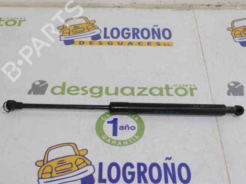 Hood lift support BMW 1 (E87) 118 d | BP14120685C139 