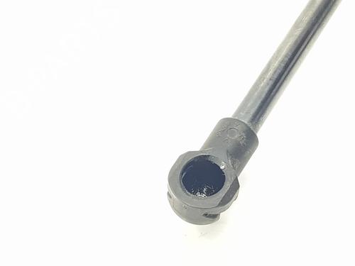 Tailgate lift support VW GOLF VIII (CD1, DA1) 1.5 eTSI | BP29723356C138 