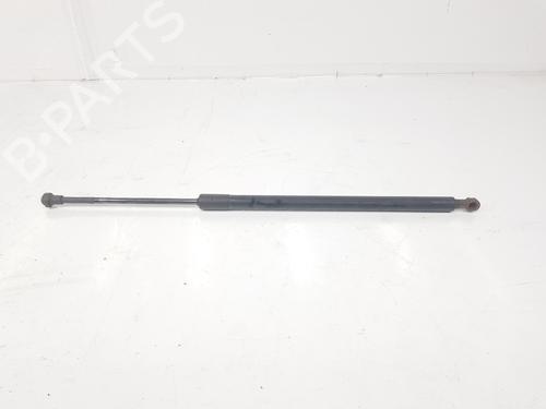 Tailgate lift support BMW X5 (E53) 3.0 d | BP14094203C138 