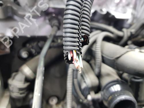 Engine BMW 5 (G30, F90) 530 i | BP10105788M1 