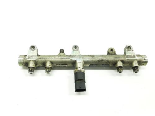 Injection rail FIAT DUCATO Van (244_) 2.3 JTD (110 hp) 0445224009    | 0445224009    | 015132   |