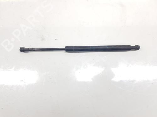 Used Tailgate lift support BMW 3 (E46) 320 d (150 hp) 14103109