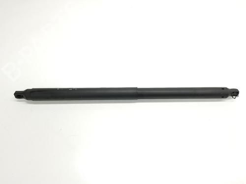 Gassdemper Bakluke CUPRA TAVASCAN (KR1) Endurance | BP28026531C138 