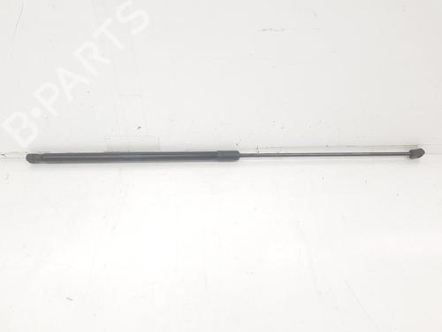 Used Hood lift support VW GOLF VII (5G1, BQ1, BE1, BE2) 2.0 TDI (150 hp) 14103927