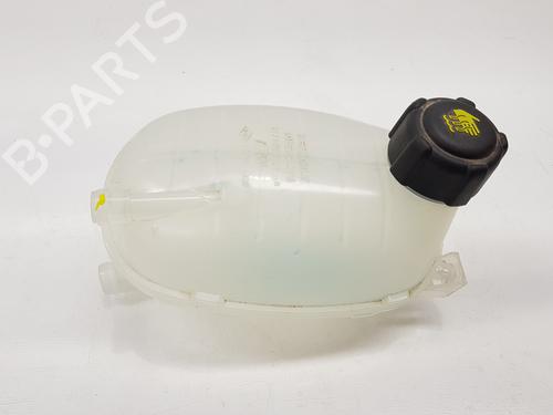 ekpansionstank-dacia-duster-pym_-pyn_-2023-34354044 main image