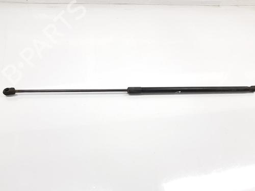 Hood lift support VW PASSAT B6 (3C2) 2.0 TDI 16V | BP17170369C139 
