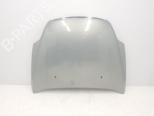 Hood FORD MONDEO IV (BA7) 2.0 TDCi (140 hp) 1469592  | 1469592  | COLOR GRIS THUNDER  |