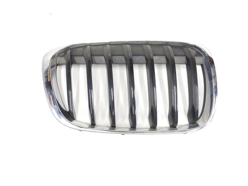 Used Grille BMW X1 (F48) xDrive 18 d (150 hp) 10503739