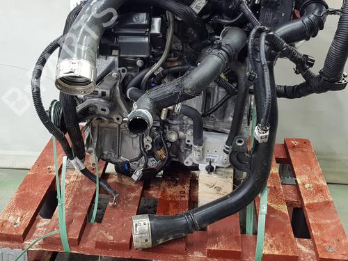 Engine RENAULT AUSTRAL  | BP32712772M1  - Image 6