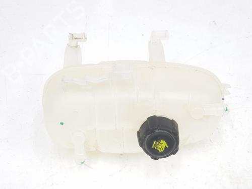 Used Expansion tank RENAULT TRAFIC III Van (FG_) 2.0 dCi 120 (FGMN) (120 hp) 11860235