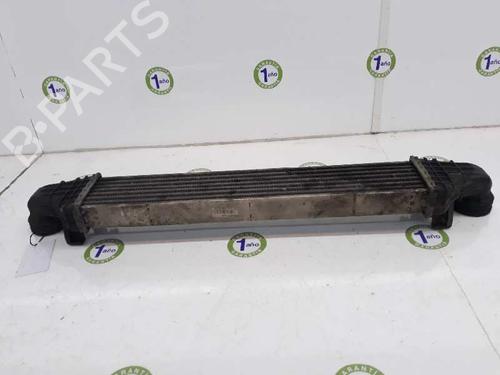 Intercooler MERCEDES-BENZ E-CLASS (W211) E 220 CDI (211.006) | BP3657466M30 