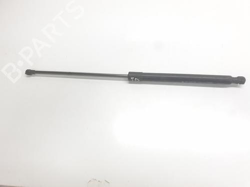 tailgate-lift-support-renault-arkana-i-lcm_-ldn_-2019-35753638 main image