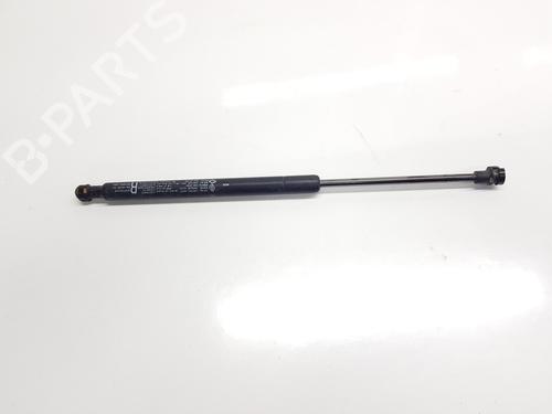 hood-lift-support-renault-arkana-i-lcm_-ldn_-2019-33625693 main image