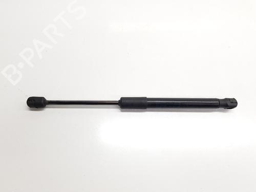 Hood lift support AUDI A6 C7 (4G2, 4GC) 2.0 TDI | BP29596104C139 