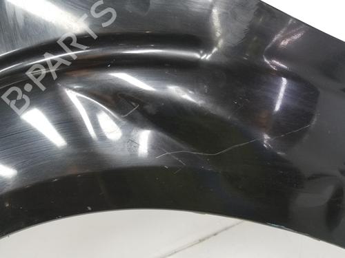 Left front fenders NISSAN PATHFINDER III (R51) 2.5 dCi | BP3185209C41 