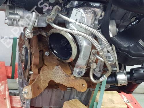Engine FORD PUMA (J2K, CF7)  | BP36381604M1  - Image 16