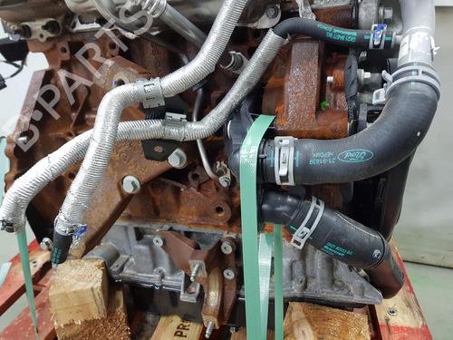 Engine FORD TRANSIT V363 Platform/Chassis (FED, FFD) 2.0 EcoBlue | BP31840493M1 