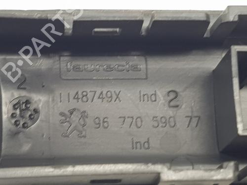 Switch PEUGEOT 208 I (CA_, CC_) 1.6 BlueHDi 100 | BP23388882I30