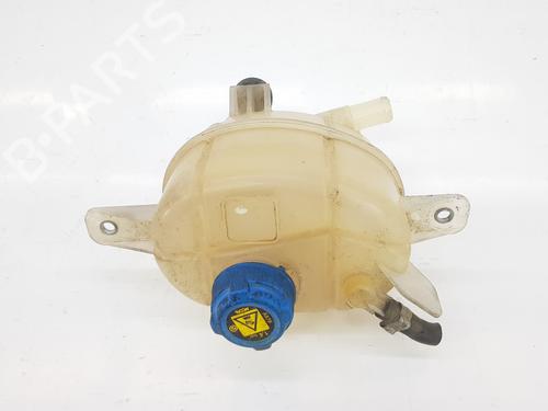 Used Expansion tank CITROËN NEMO Box Body/MPV (AA_) 1.4 HDi (68 hp) 10965651