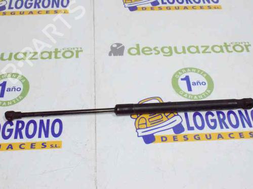 Tailgate lift support BMW 1 (E87) 118 d | BP14121387C138