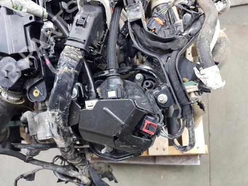 Engine FORD TOURNEO CONNECT / GRAND TOURNEO CONNECT V408 MPV 1.5 TDCi | BP31903994M1