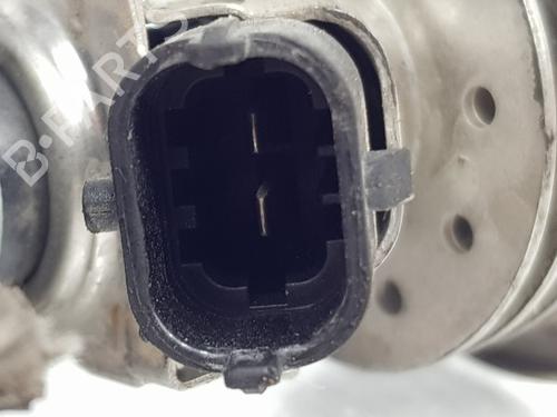 Injector LAND ROVER RANGE ROVER EVOQUE (L538)  | BP29124871M100 