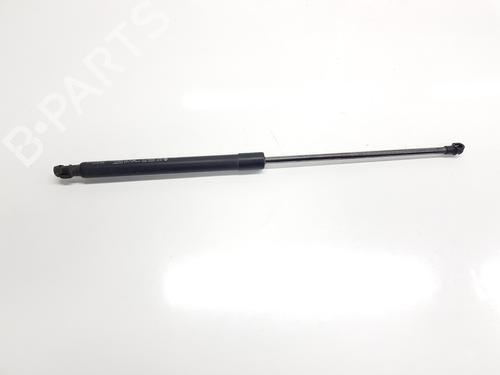 tailgate-lift-support-renault-arkana-i-lcm_-ldn_-2019-33625690 main image