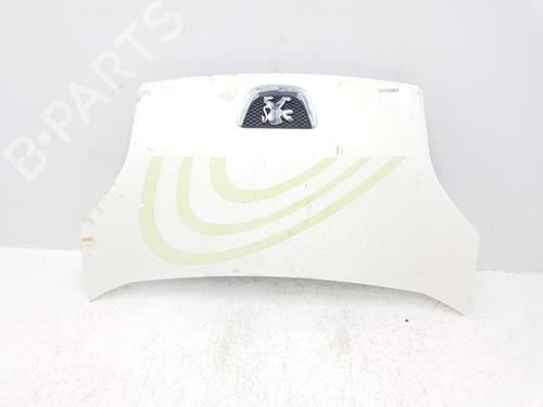 Used Hood PEUGEOT BIPPER (AA_) 1.4 HDi (68 hp) 10976101
